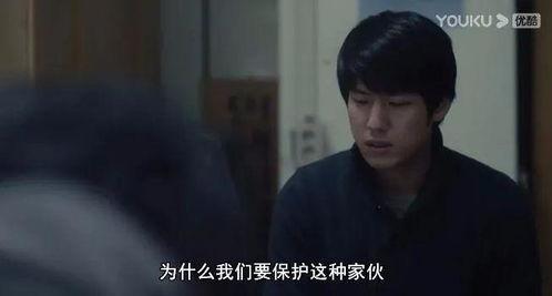 国产一级理论片,探索中国电影艺术的深度与广度